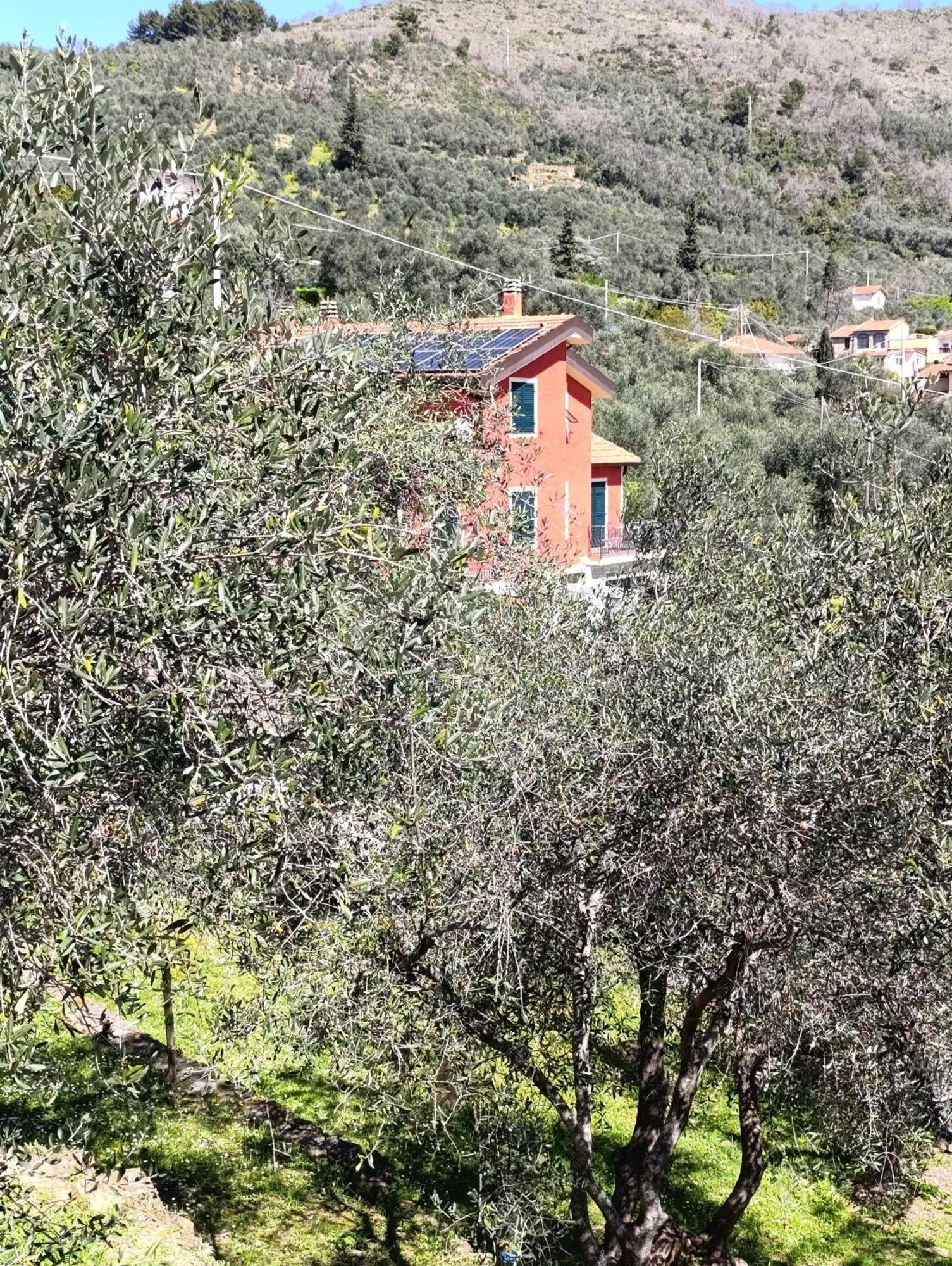 Apartamento Le Casasse Imperia Exterior foto